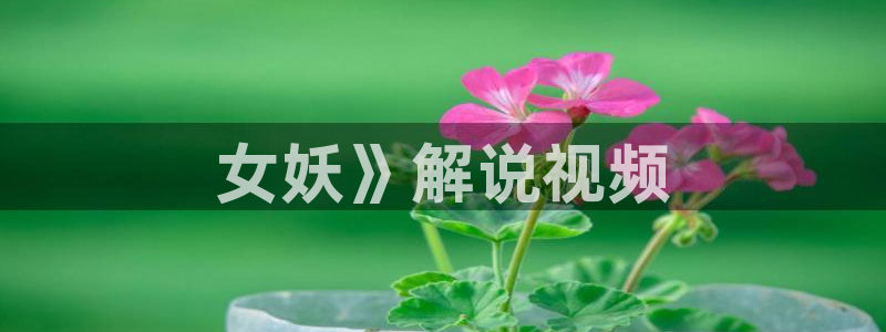 李卫辞官全集免费观看西瓜