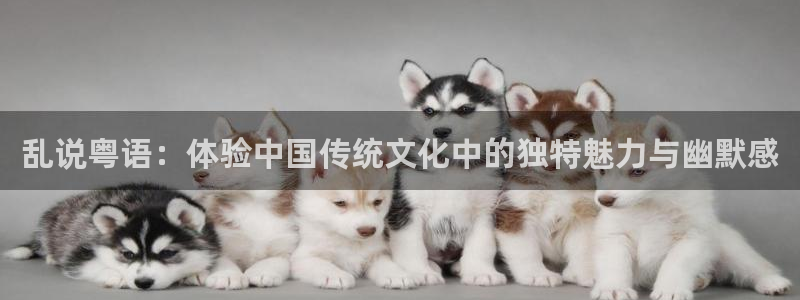 西瓜在线免费观看完整版