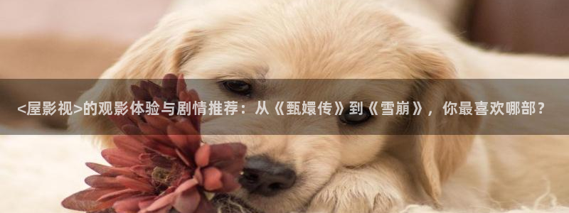 玉楼春电视剧在线观看西瓜