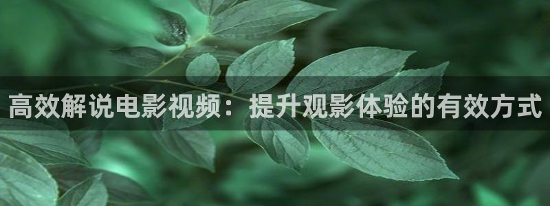 西瓜辽宁