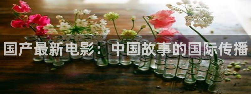 西瓜电影免费观看影片
