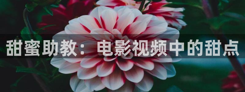 睡美人免费观看完整版西瓜