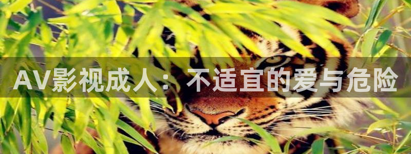 下载西瓜视频