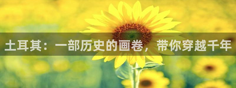 新午夜影院西瓜影院