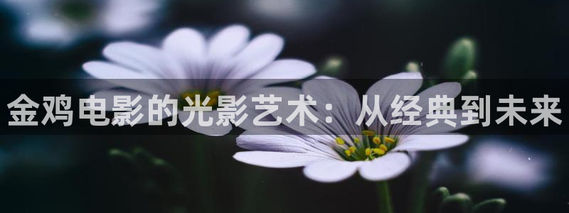 西瓜视频免费在线