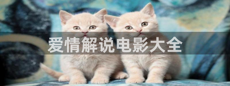西瓜电影大全免费观看