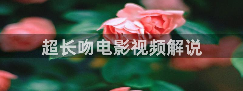 西瓜视频高清在线观看免费