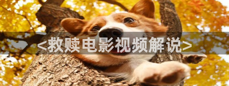 麻雀免费观看完整版西瓜