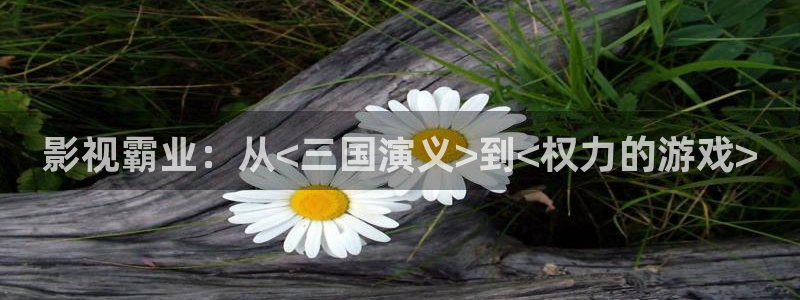 大西瓜午夜电影