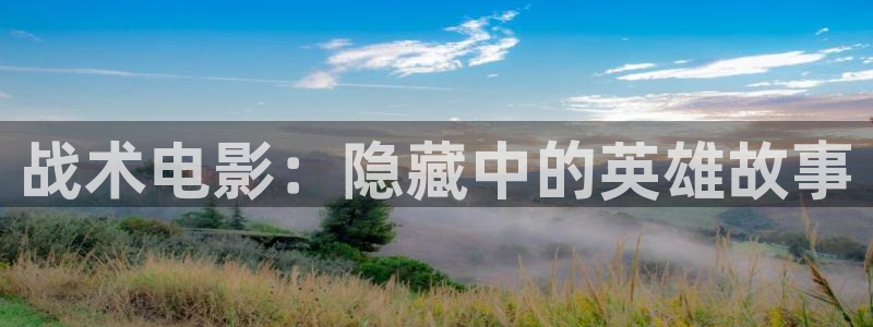 很大的西瓜：战术电影：隐藏中的英雄故事