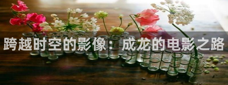 龙岭迷窟电视剧在线看西瓜